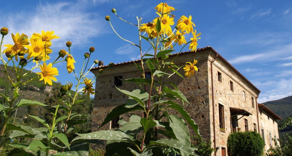 Vila Al Palazzaccio Calci Pokoj fotografie