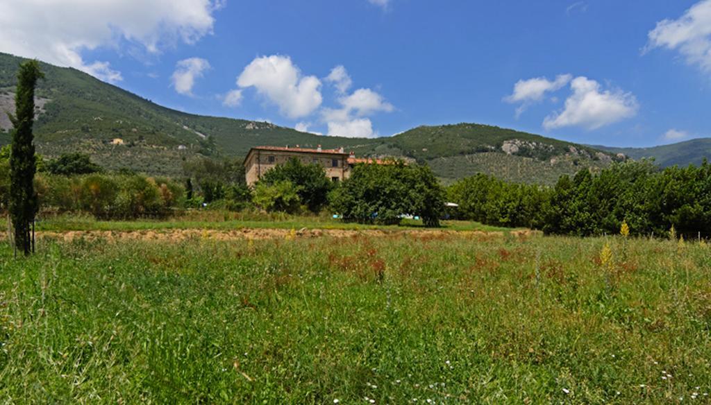 Vila Al Palazzaccio Calci Exteriér fotografie